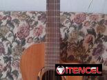 Guitarra