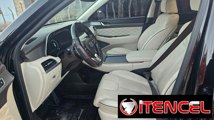 Vendo o negocio Hyundai Palisades 2020 caligrafhy