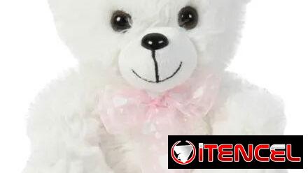 Oso de peluche, caja de regalo, farol chino con bombones, cartera de kuromi