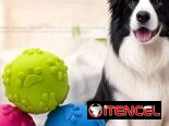Pelotas de caucho con pito