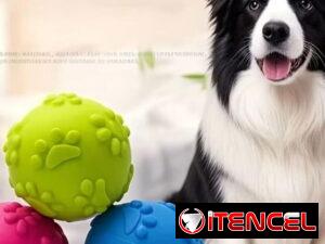 c309034e673e2172c4eabc2eaf126a4fd008bfa14a492263ca9463501f30e159