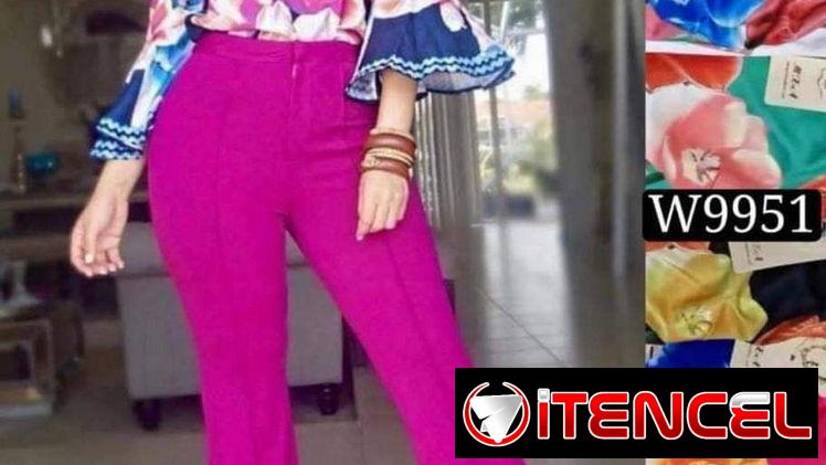 Juego de pantalón y blusa elegante.