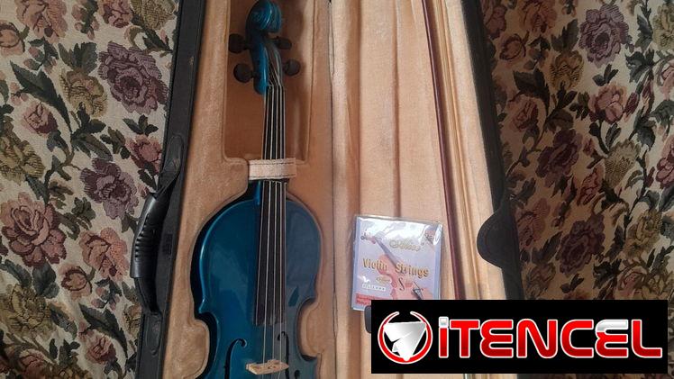 Violin