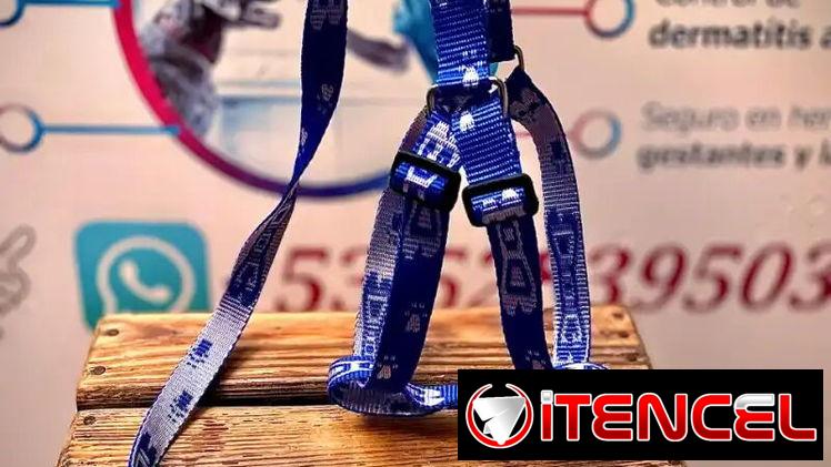 Pecheras para todas las razas y tamaños