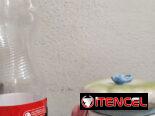 Adornos de porcelana fina