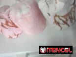 Tinas de helado marca niña bonita y coopelia