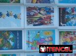 Libros de colorear 🖍️