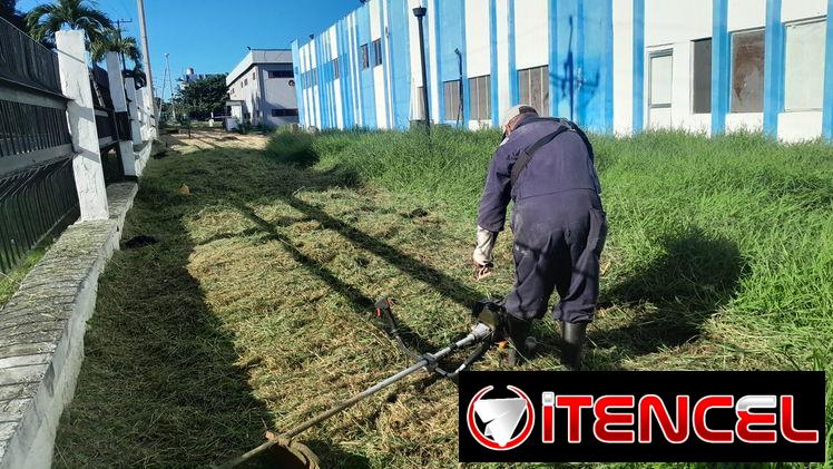 jardinería y mantenimiento de exteriores