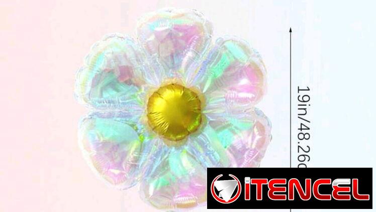 🌼✨ 3 globos transparentes tornasol