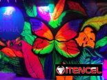 Murales Pintados Personalizados