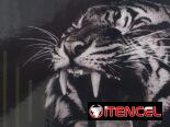 Pitos HELLAS