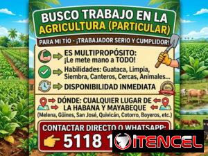 c54326672ac8ffc57e79305dda073549b399ca5bc89cf68f5639a5d4c9e35ebb