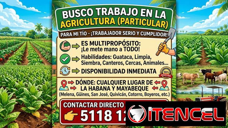 Anuncio de interés
