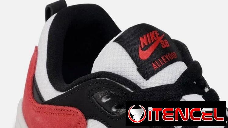 Tenis Nike SB #45 ORIGINALES VEDADO