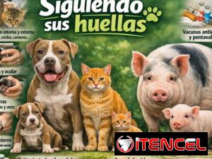 c5a19e3c7691617fc06246bda3ec7f106ff0763f10a5c1180e55fab1b3e8f87f