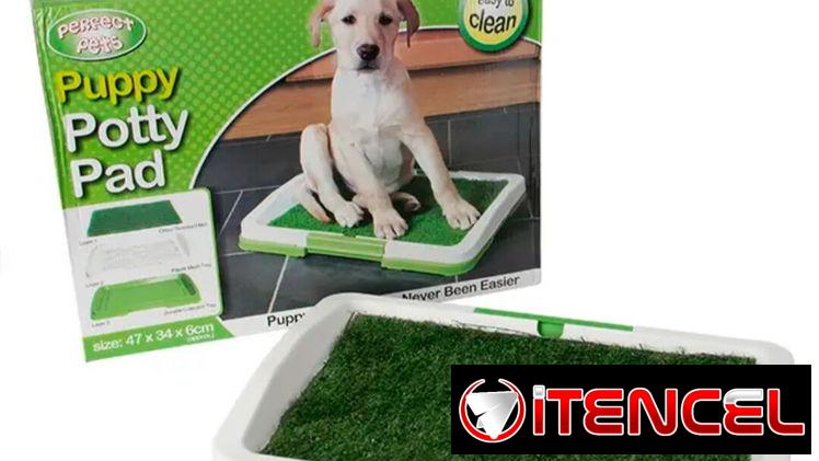 Cesped Artificial para Perros 🐕