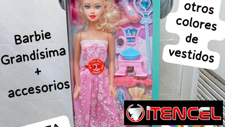Barbie de caja grandísima y con accesorios 59 cm