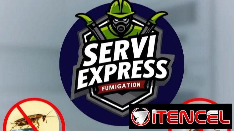 Venta de servicios a domicilio.