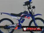 Bicicleta para niño 20¨