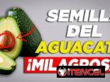 Soy editor de videos y miniaturas para youtube