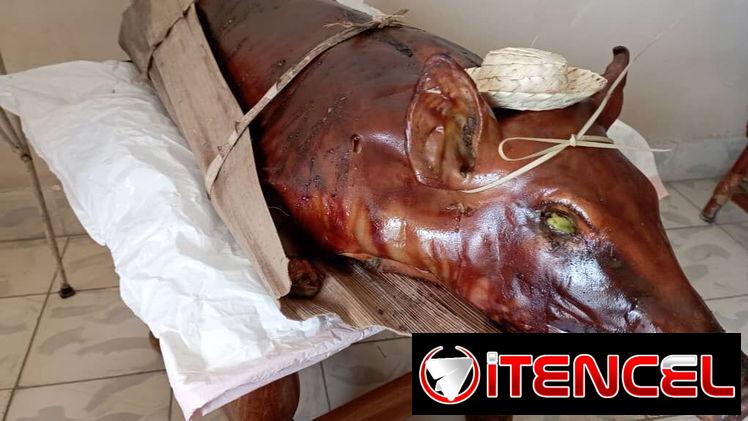Cerdo asado entero para 110 personas