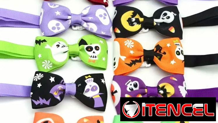 Accesorios y Ropitas de Halloween para Mascotas!!!