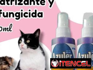 c6cbad932a4ca62f90e81893c2b8d0b023b07cc44f10864b6ea9ae8d6925375f
