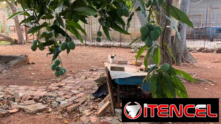 Finca en Santa Fe