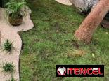 Jardinería y Limpieza de exteriores