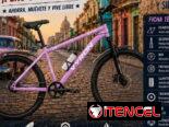 Bicicleta medida 26