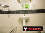 Alquiler de auto + apartamento