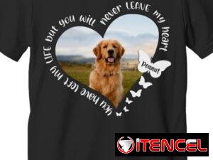 c7cf8546ae74cbcc757cc204ae9061795373a6a857aad955a3cd4bccc097f855