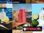 Perfumes Originales Importados Diseñador Árabe y Nicho.  Encuentra lo que buscas en nuestra tienda. Claar Essenza!!!