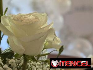 c7ebc77b25dbf0fa2833afdaaa1940d762ab2ff479ccf224eab287942ee5aa11