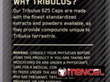 TRIBULUS 625 OPTIMUM NUTRITION