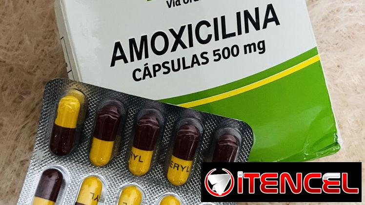 Amoxicilina 500mg