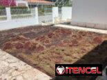 Servicio de jardinería 👩🏼‍🌾