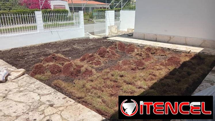 Servicio de jardinería 👩🏼‍🌾