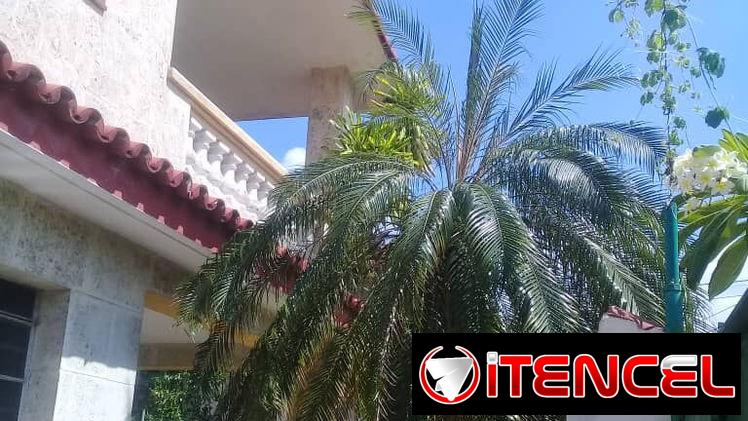 ALQUILO APARTAMENTO EN MARIANAO