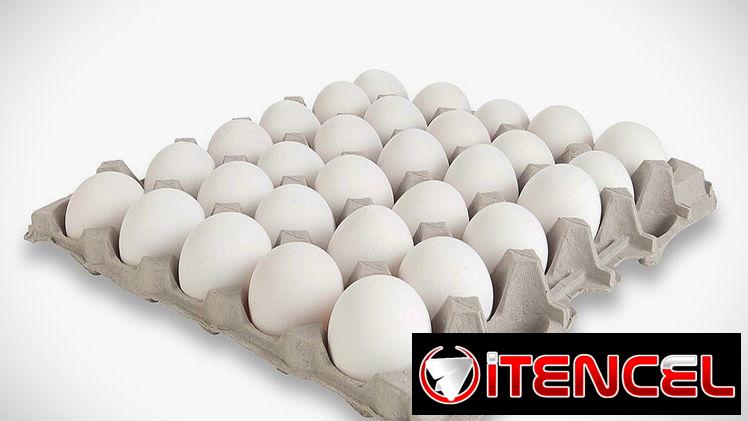 Huevos el cartón
