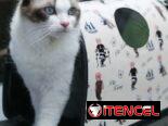 BOLSOS SEMIRRIGIDOS PARA PERROS Y GATOS