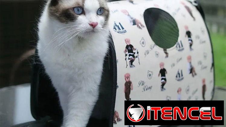 BOLSOS SEMIRRIGIDOS PARA PERROS Y GATOS