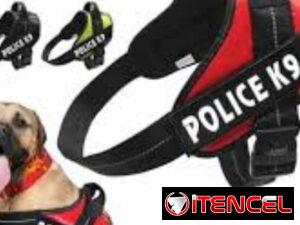 cb24f2ba9c2cd16e855a29db10760ea02461465117a36ebc8bb016ff8500279c
