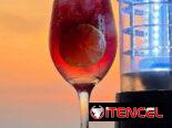 Terraza Vista Alegre – Cenar frente al mar nunca tuvo mejor sabor