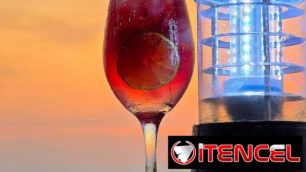 Terraza Vista Alegre – Cenar frente al mar nunca tuvo mejor sabor