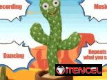 Cactus bailarín y micrófono