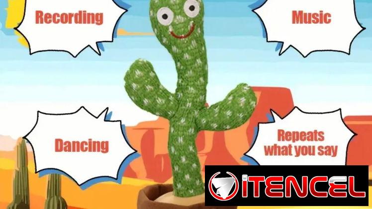 Cactus bailarín y micrófono