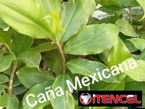 cb6796d52c9c1b9a10a78687a0ec3092833a3844adb0afec3c71b75a48816bbf