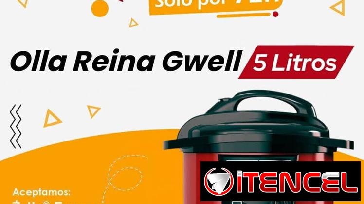 Olla reina 5l 51 usd