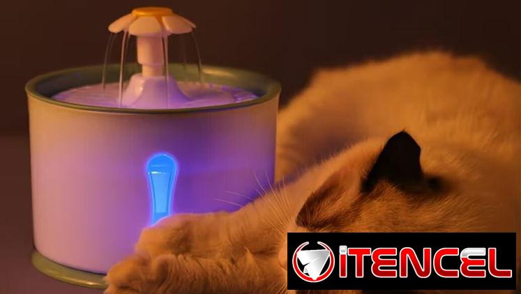 Fuente de Agua Inteligente para Gatos Alimentación USB